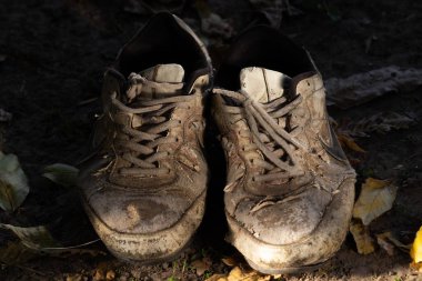 Eski spor ayakkabı Bahçe, portre resmi için stand