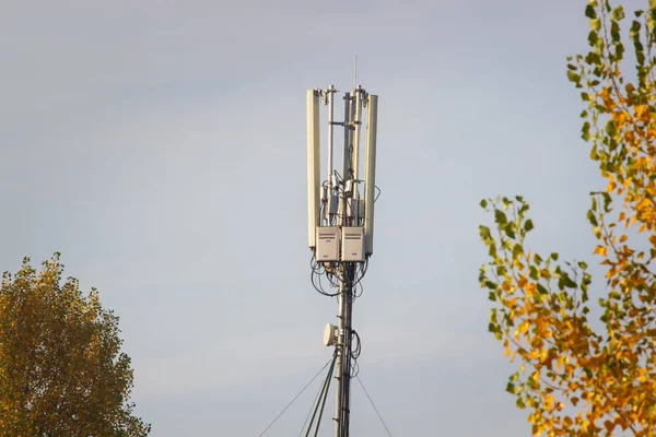 Bir Hücresel Radyo Kulesinin Tepesi Sonbahar Ormanı Mavi Gökyüzünün Arka — Stok fotoğraf