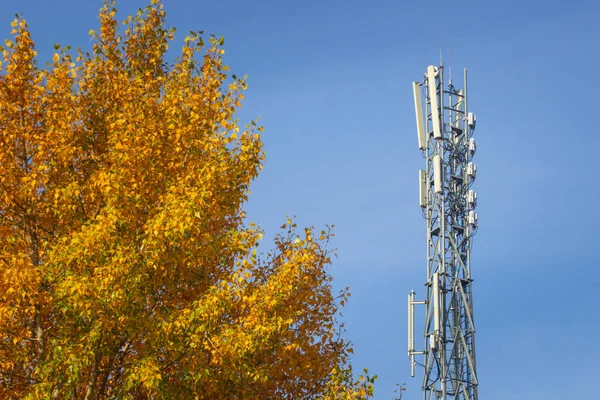 Bir Hücresel Radyo Kulesinin Tepesi Sonbahar Ormanı Mavi Gökyüzünün Arka — Stok fotoğraf