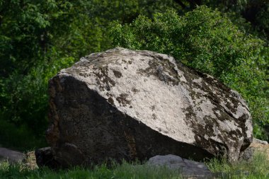 Kayalar, köpük ve su sıçramalarına hızlı nehir suyu. Great Falls nehir banka.