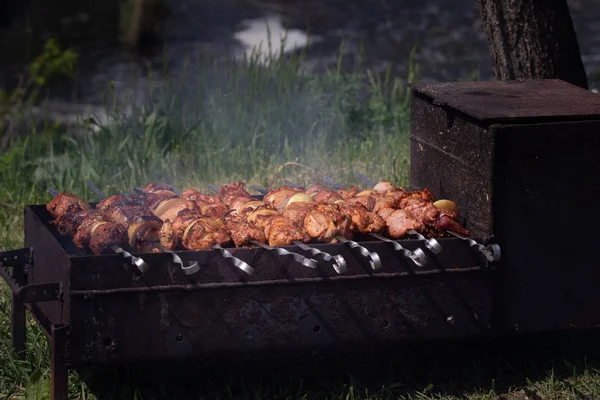 Grillezett Kebab Főzés Fém Nyárson Pörkölt Hús Barbecue Grill Friss — Stock Fotó