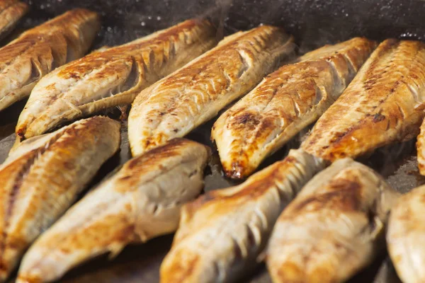 Pão de peixe de comida de rua turco — Fotografia de Stock