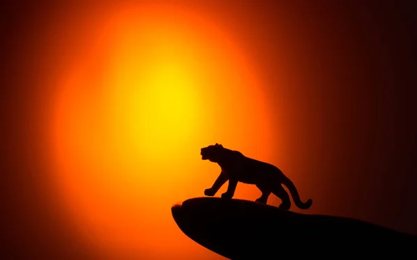 青い曇り夕日を背景に動物のシルエット — ストック写真