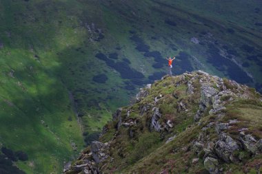 Güzel doğa manzara, dağ manzarası inanılmaz. Sihirli ormangülü bahar çiçekleri. Konumu Karpat, Ukrayna. Vahşi alan. Kavram hiking doğal görüntü. Dünya'nın güzelliği keşfetmek.