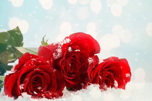 Bouquet di lusso fatto di rose rosse in negozio di fiori San Valentino Bouquet di rose rosse. Inverno neve sfondo . — Foto Stock