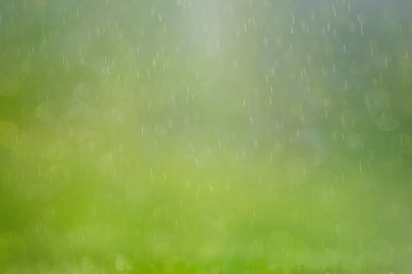 Soyut bulanıklık bahar arka plan. Bokeh