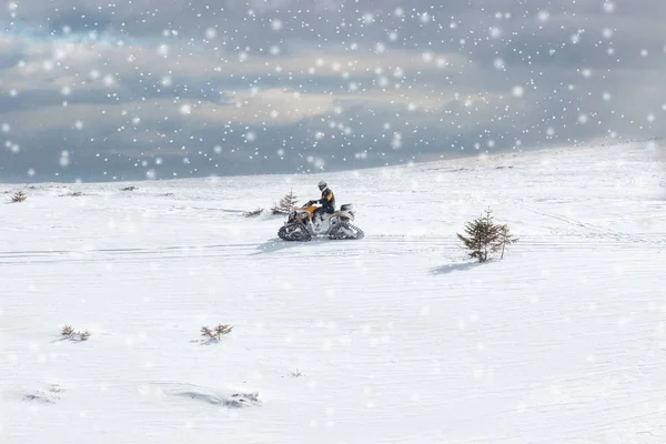 Mann Fährt Sportschneemobil Finnischen Lappland Einem Sonnigen Schneetag — Stockfoto