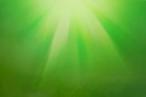 Abstract Blurred Spring Summer Background Sunlight — Stock Photo, Image