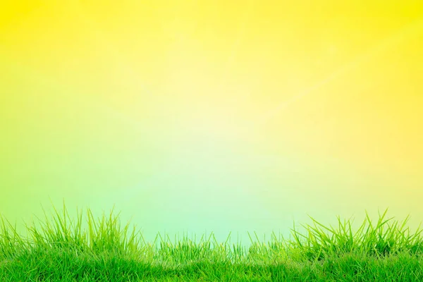 Abstract Voorjaar Zomer Achtergronden Met Gras — Stockfoto