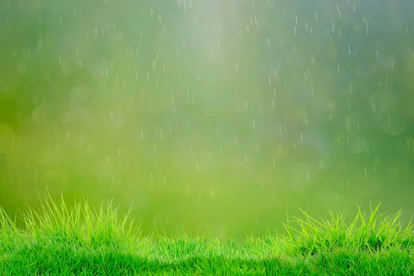 Natuurlijke Groen Gras Achtergrond Regen Zomer Winter Dag Achtergrond — Stockfoto