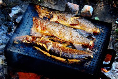 ızgarada balık. Yaz Barbekü kavramı. sığ dof ile yakın çekim.