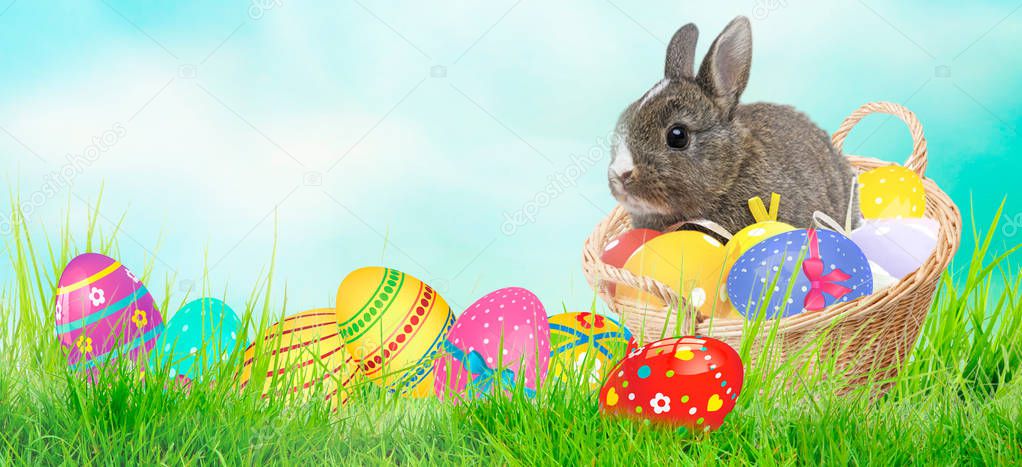 Little Bunny In Basket With Decorated Eggs - Easter Card
