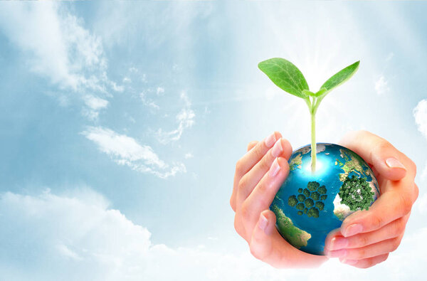 World environment day concept: human hands holding big growth tree and earth globe over sunny blue sky spring background