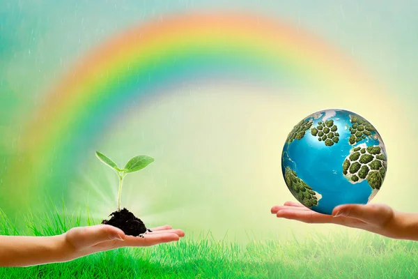 Wereld Milieu Dag Concept Holding Vervuilde Aarde Groene Bomen Achtergrond — Stockfoto