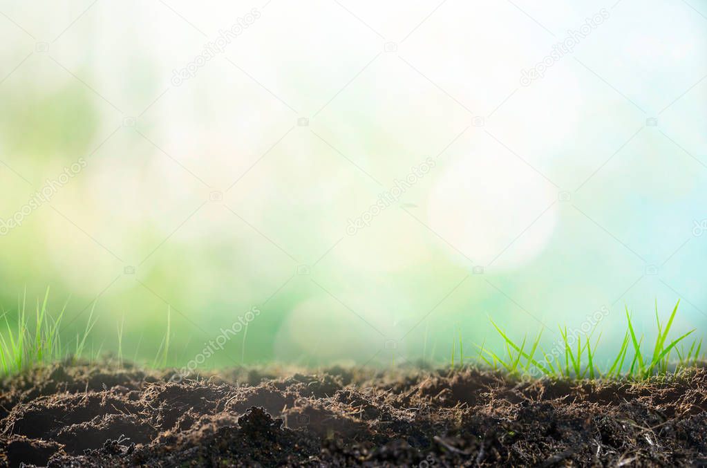 Nature background, pile of soil against green defocused grass with copy space.