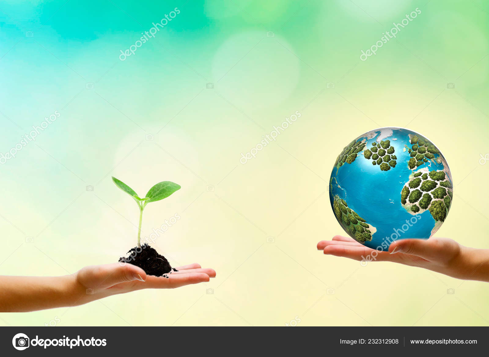 Реферат На Тему Our Green Planet