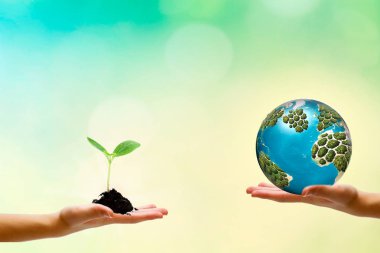 Bir filiz toprakta yetişir. Bizim gezegen Earth arka plan üzerinde..
