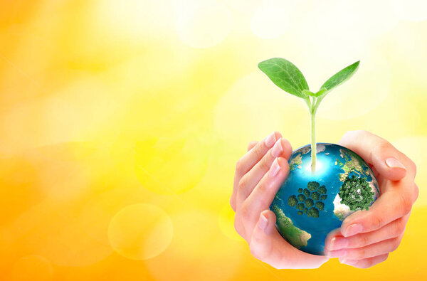 World environment day concept: human hands holding big growth tree and earth globe over sunny spring background