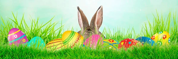 ウサギ 卵と草でイースター装飾 — ストック写真