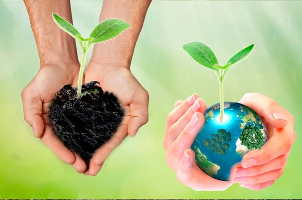 Wereld Milieu Dag Concept Twee Menselijke Handen Met Earth Globe — Stockfoto