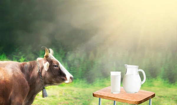Świeże Mleko Biurko Wolnego Miejsca Dla Twojego Dekoracji Światło Słoneczne — Zdjęcie stockowe