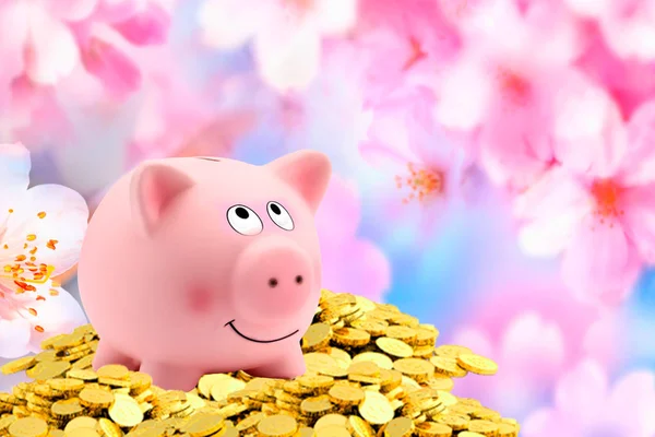 Coins in piggy for money saving financial concept.