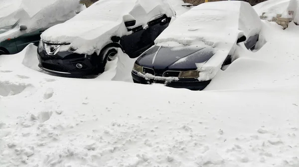 Cars Covered Snow Parking Lot Residential Area December Snowfall — Stock Photo, Image