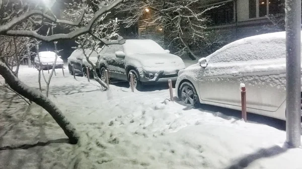 Машины Покрытые Снегом Ночью — стоковое фото