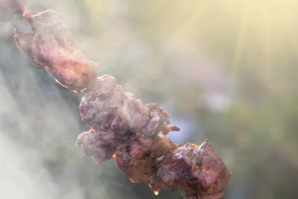Espetinhos Kebab Churrasco Fumaça Dia Ensolarado — Fotografia de Stock