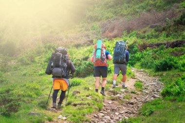 Gezgin kayalar giderken