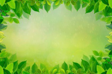 Bahar arka plan üzerinde yaprak yeşil sınır.