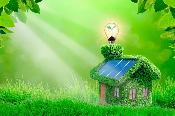 Yeşil alan evde. Ekoloji kavramı. Metin için yer.