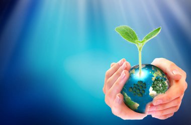 Hands adult business Team Work Cupping young Plant and seeding Nurture grow Environmental and reduce global warming help earth, top view. Ecology Concept
