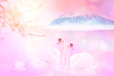 Çok güzel beyaz çift kuğu romantik duygu ve göl Yamanaka, sevgiyle Mt. Fuji arka plan, ünlü ve huzurlu bir yer