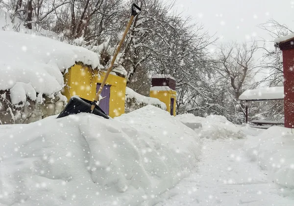 City Service Cleaning Snow Winter Shovel Snowstorm Yard Sunlight — Stock Photo, Image
