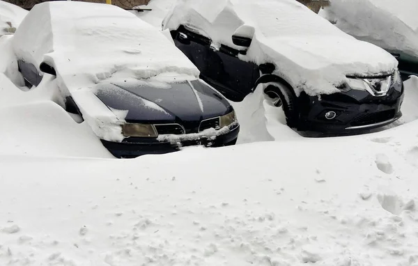 Cars Covered Snow Parking Lot Residential Area December Snowfall — Stock Photo, Image