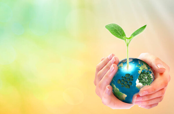 CEO protects, develops and supports business growth. Business concept. Investor and mentor invest their skills and investments in the company's future strategy.