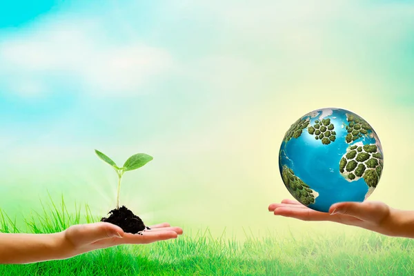 Yatırımcı ve akıl hocası dünya pazarına girmek için başlangıç yardımcı olur. Gözetmen el fikir, bir küçük işletme filiz tutar. SEO bütün dünya tutar