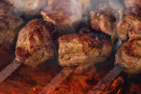 Grill Nyársak Húsos Kebab Zöldségekkel Lángoló Grillen — Stock Fotó