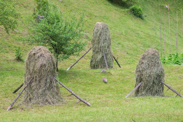 Récolte de foin dans les vallées montagneuses du centre rural de l'Utah. Le sentiment réconfortant du foin dans les champs et l'odeur du foin fraîchement coupé est intemporel . — Photo