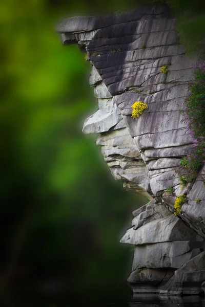 Snabb flodvatten med stenar, skum och stänk. Great Falls flodstranden. — Stockfoto