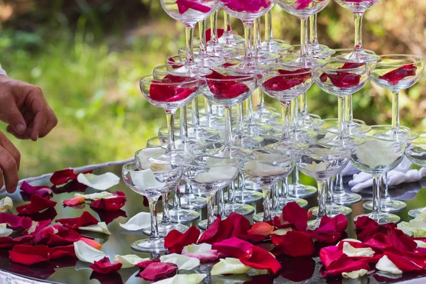 Una piramide di bicchieri di champagne con petali di rosa — Foto Stock