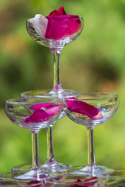 Una pirámide de copas de champán con pétalos de rosa — Foto de Stock