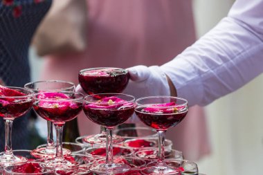 Piramit pembe şampanya. Tatilinizi parlak duygular. Studio Bar.