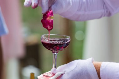 Piramit pembe şampanya. Tatilinizi parlak duygular. Studio Bar.