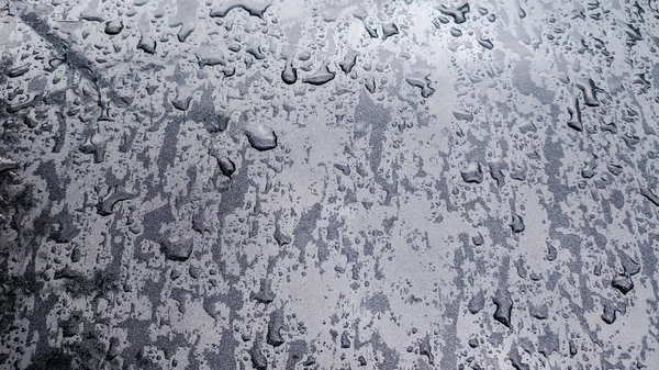 아름다운 물방울의 배경 — 스톡 사진