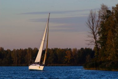 Ukrayna, Ukrayna - 12 Ekim 2019: 12 Ekim 2019 'da Kiev yakınlarındaki bir yelkenli yarışı sırasında