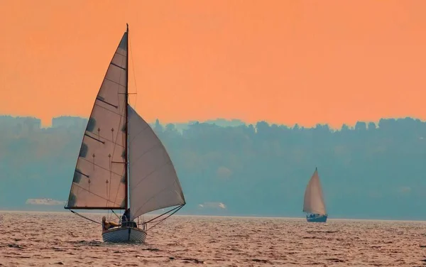 日没に出航する帆船レガッタ — ストック写真