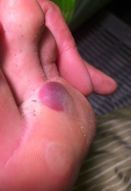 Kırmızı kanlı mısırlar yakın plan