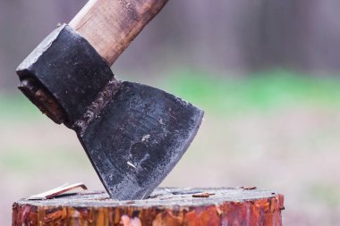 Bir günlük içinde balta, yakın plan